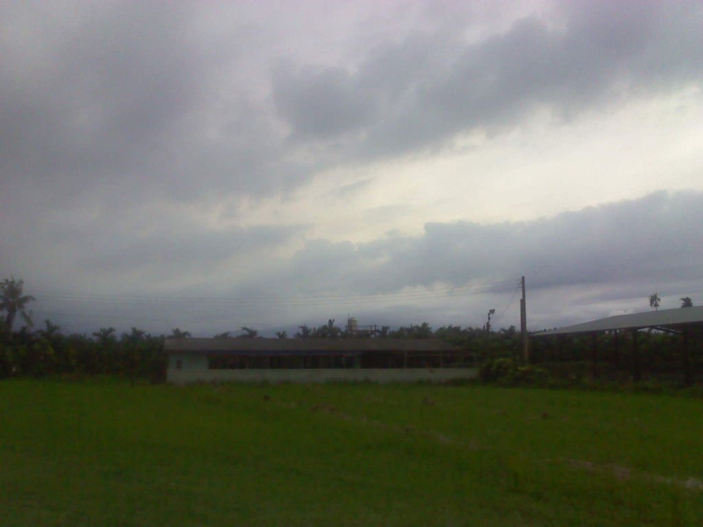 DSC0000012.jpg