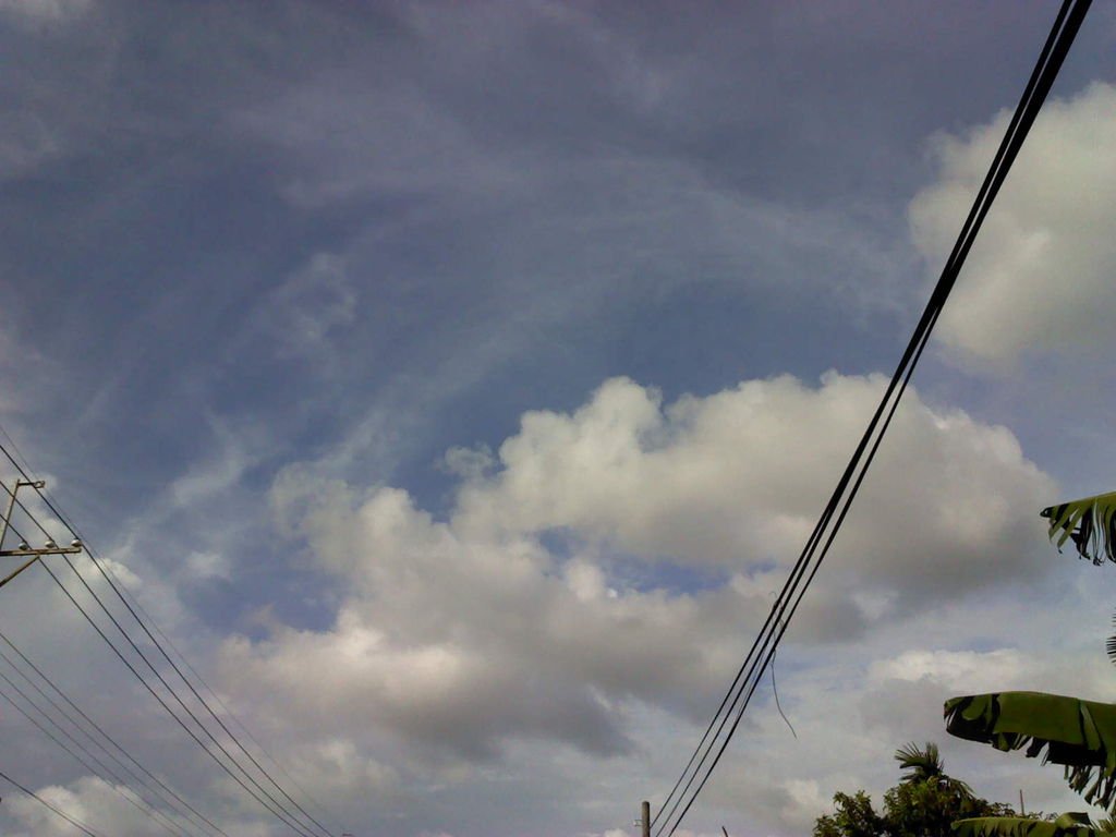 DSC0000006.jpg