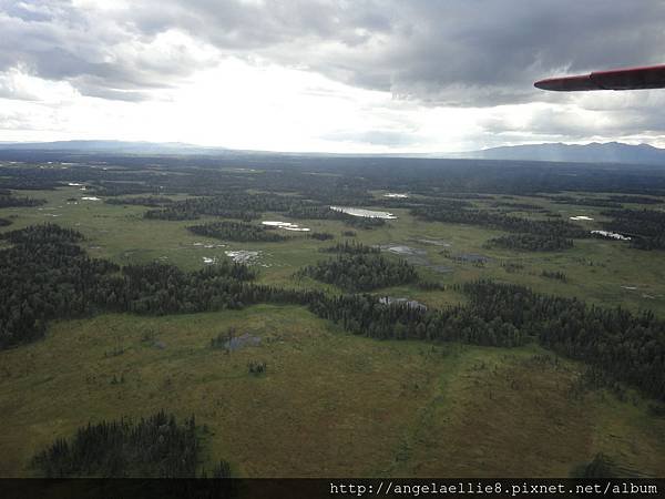 McKinley Summit Flight