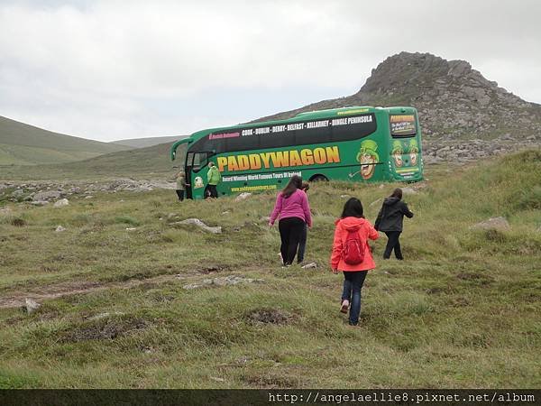 Paddywagon