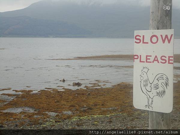 Traffic Sign on the way to Mull Craignure