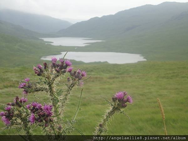 on the way to Mull Craignure