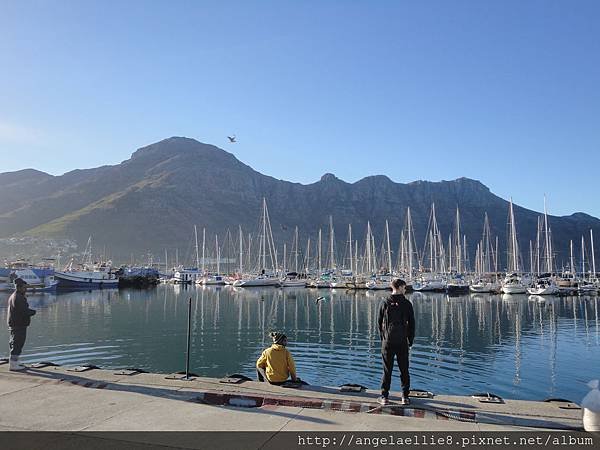 Hout Sound Seal Island Cape Town