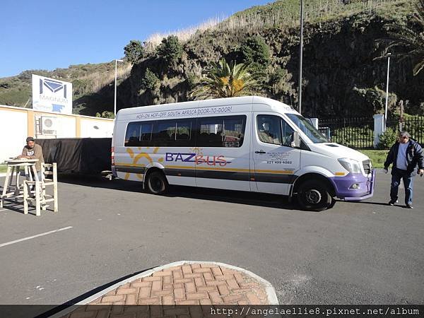 Hout Sound Baz Bus 1 day Peninsula Tour
