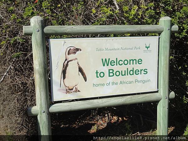 Baz Bus 1 day Tour Boulders Beach