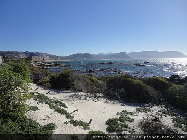 Boulders Beach