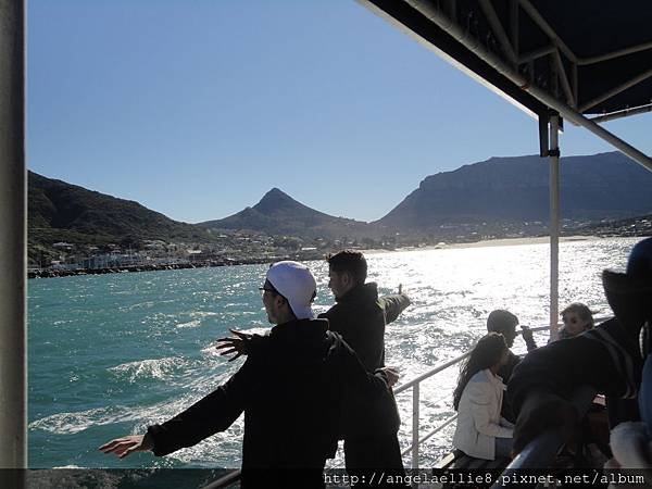 Hout Sound Seal Island Cape Town