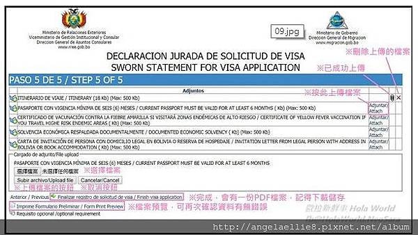 Bolivia Visa 9-2.jpg