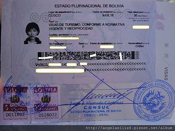 Bolivia visa.jpg