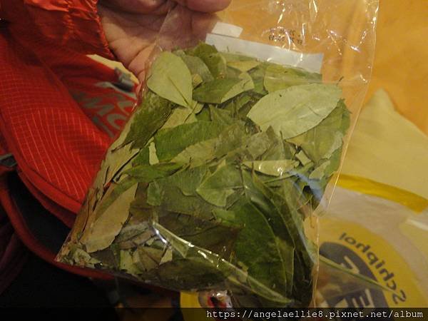 coca leaf