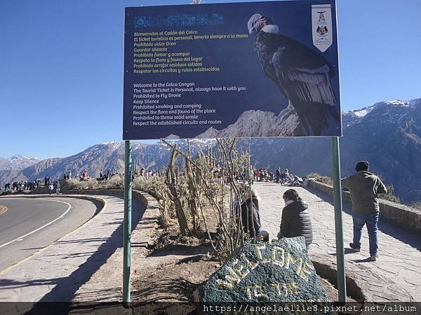 Colca Canyon Tour