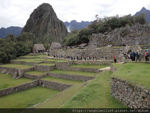 Machu Picchu Tour