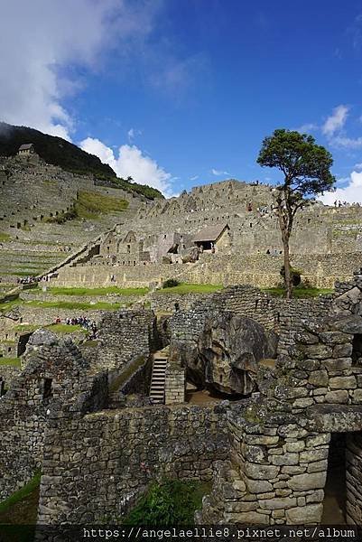 Machu Picchu Tour