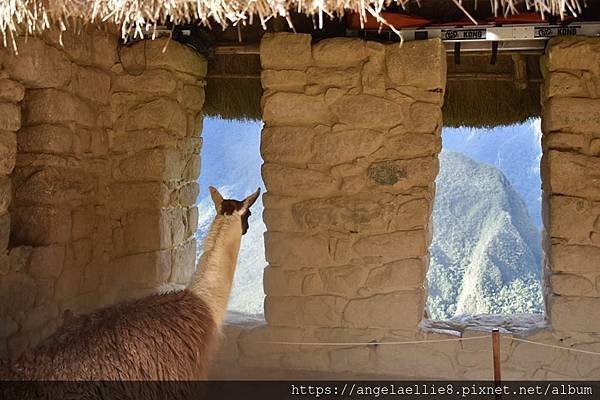 Machu Picchu Tour