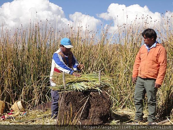 Isla Flotantes Uros Tour