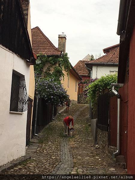 Sighisoara old town