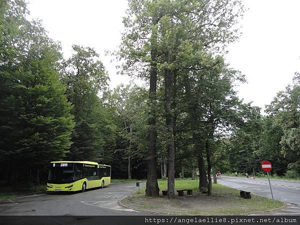 Sibiu Astra museum Bus