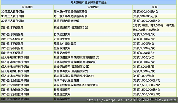 國泰產險不便險明細