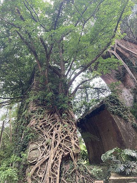 中秋假期露營去，小而美包場三義龍騰讚露營區