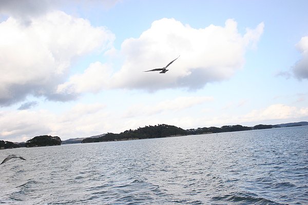 IMG_7506.JPG