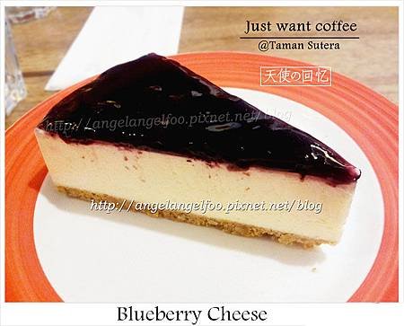 Blueberry Cheese cake