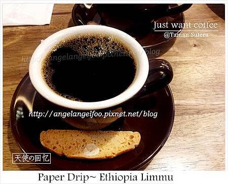 Paper Drip~ Ethiopia Limmu 