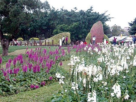 20110301_花博-01(林下花圃花海區).JPG