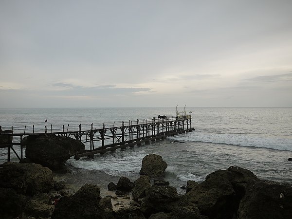 P1000440.JPG
