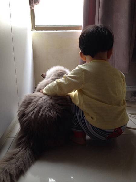 Child &amp; Cat 2