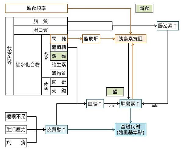 肥胖大解密.jpg