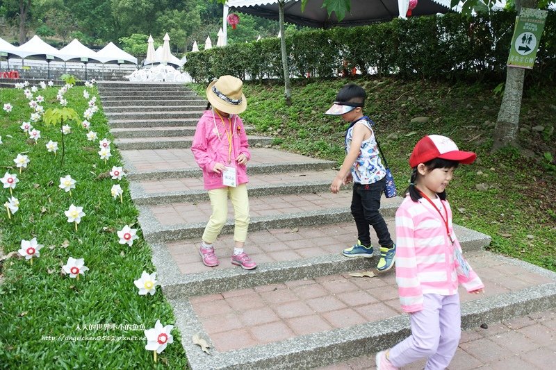 雲林景點 古坑景點  荷包桐花公園1