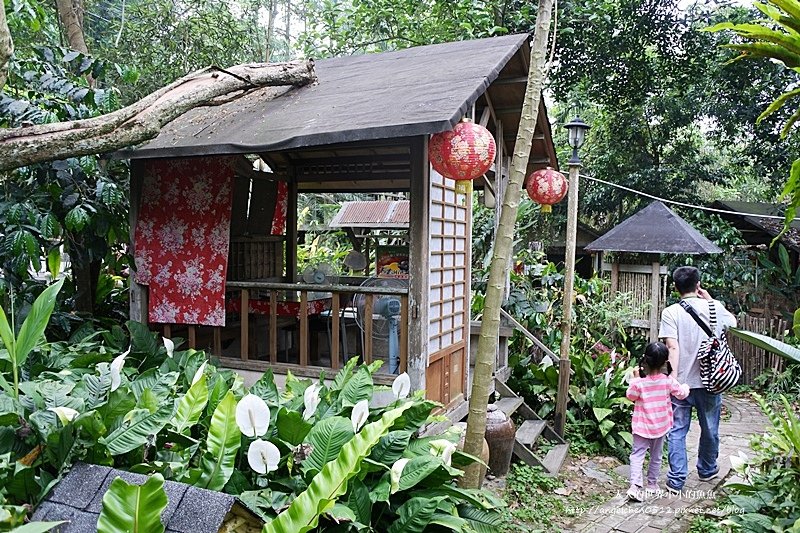 雲林景點 古坑景點 古坑美食 竽芯園庭園咖啡7