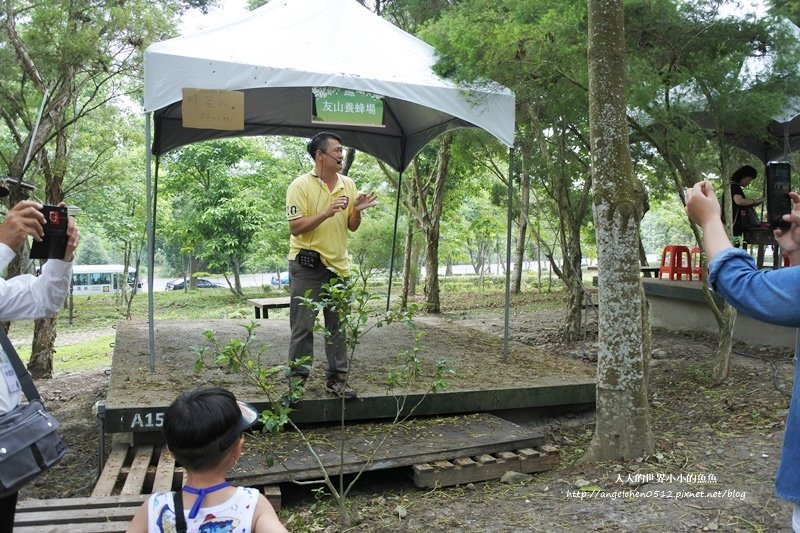 雲林景點 古坑景點 荷包桐花公園  古坑在地小旅行2