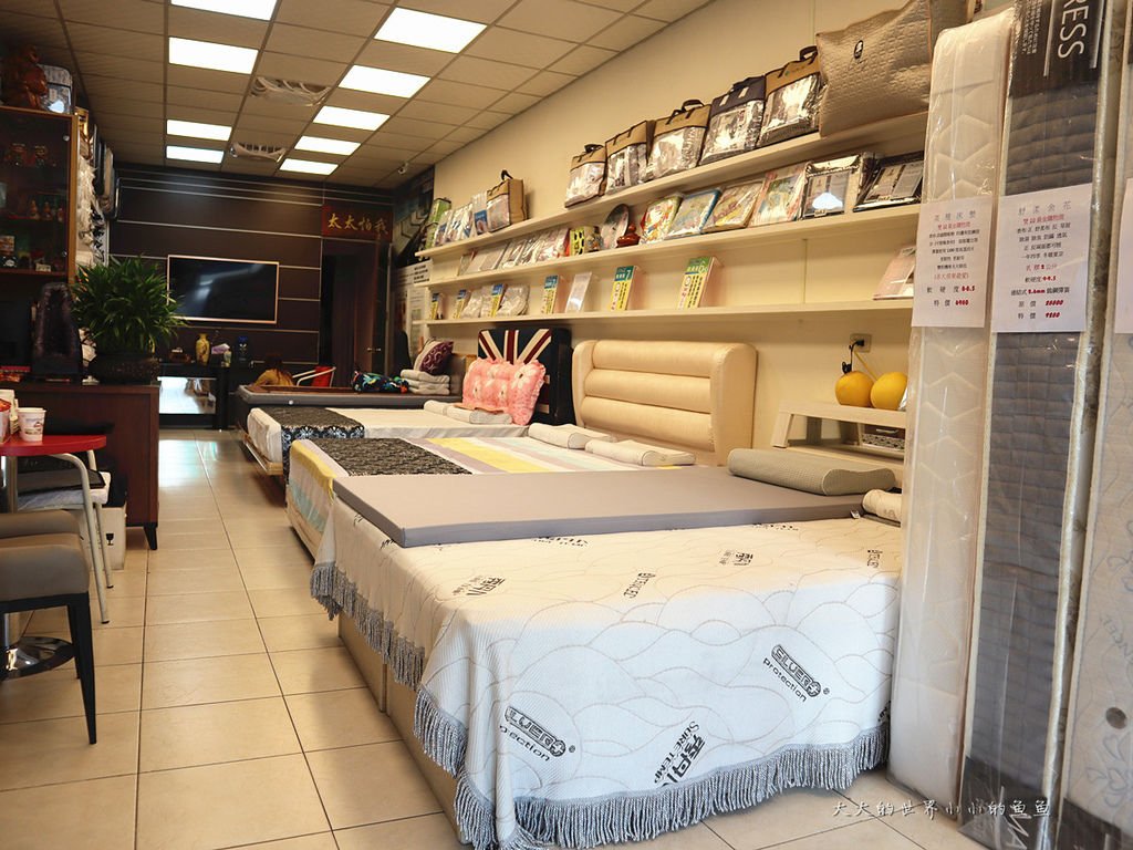 新竹創始店 床枕e專家2