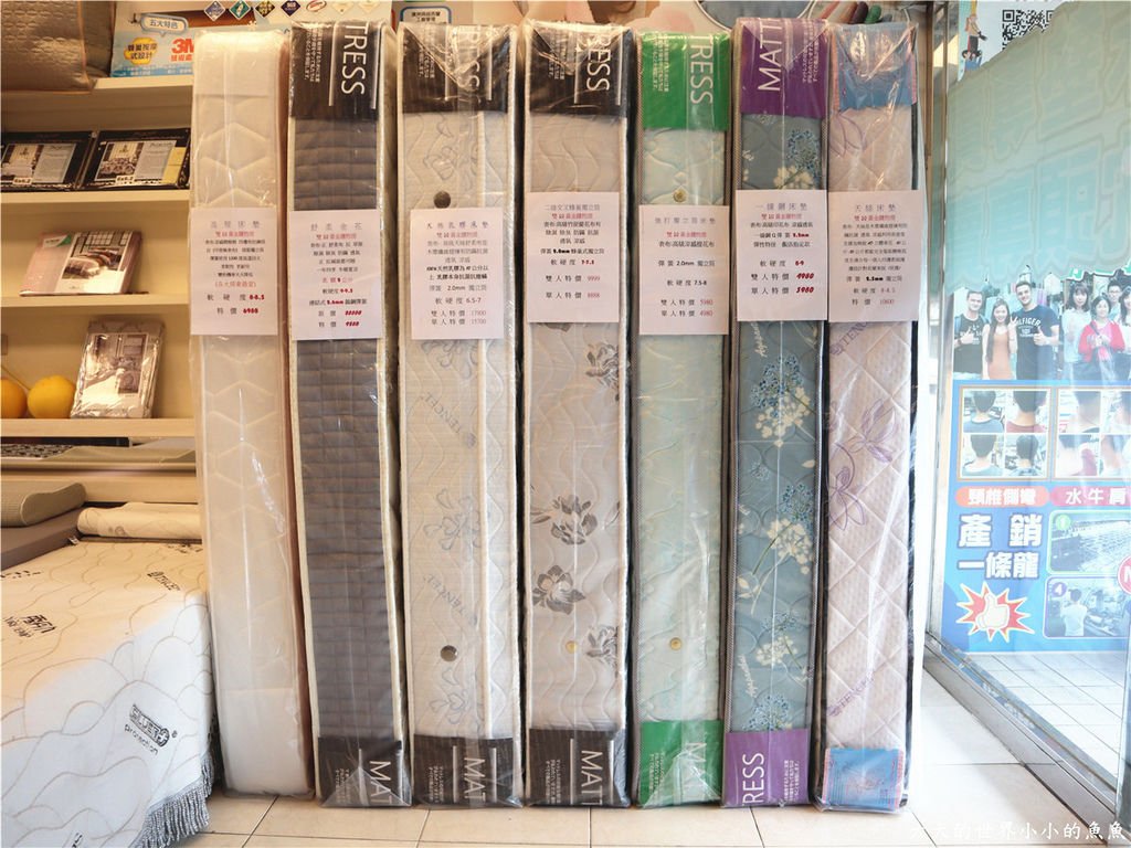 新竹創始店 床枕e專家  釋配床 、E美枕107