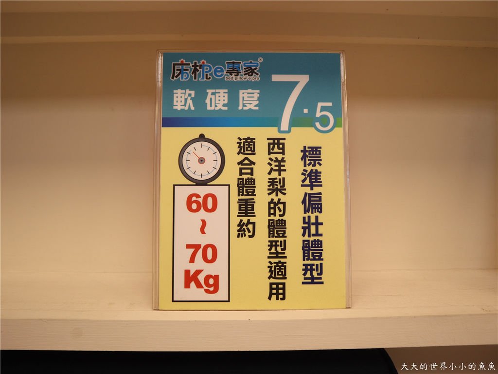 新竹創始店 床枕e專家  釋配床 、E美枕26