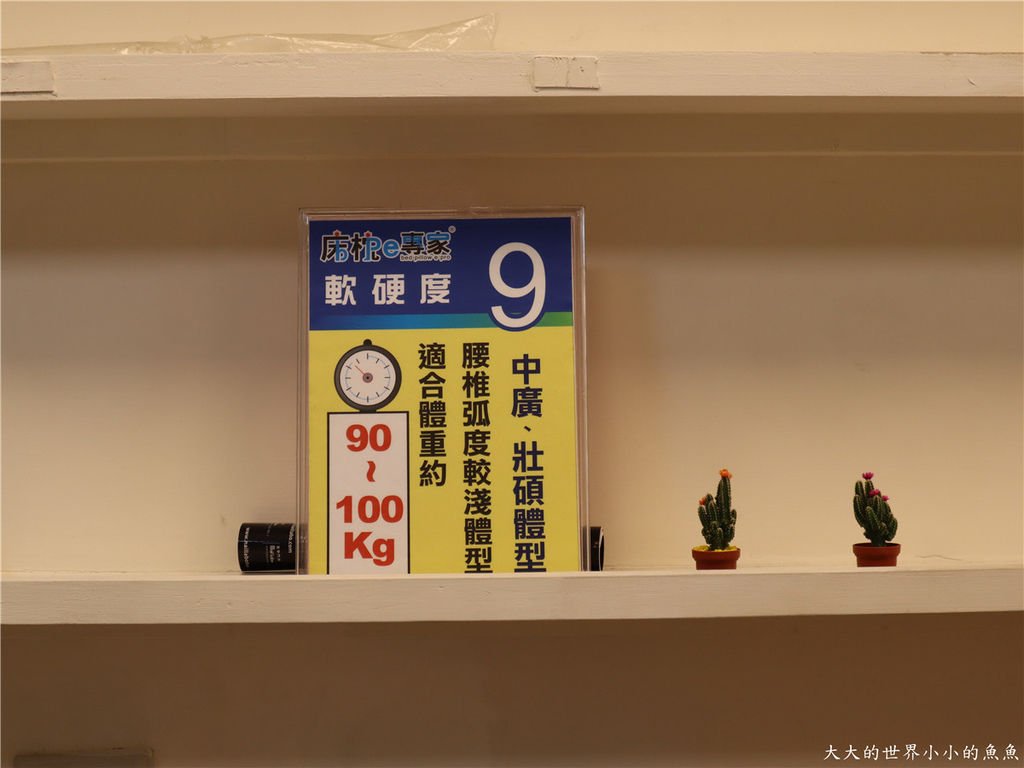 新竹創始店 床枕e專家  釋配床 、E美枕38