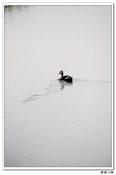 nEO_IMG_IMG_0472