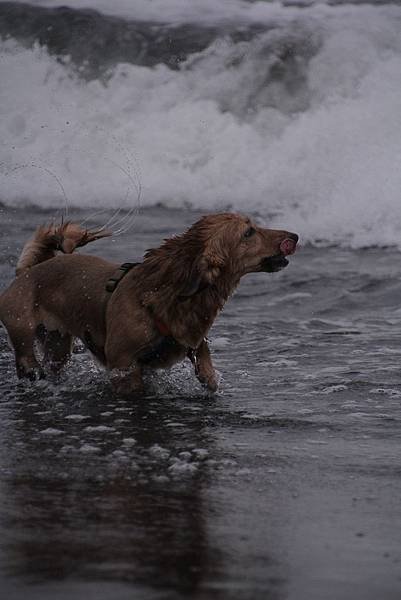 IMG_1843.JPG