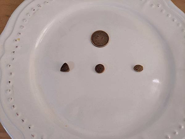 IMG_20200514_080218.jpg