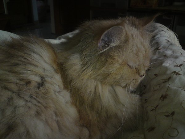 DSC00627.JPG