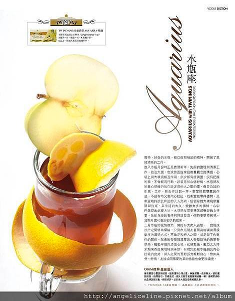 TWININGS_水瓶座