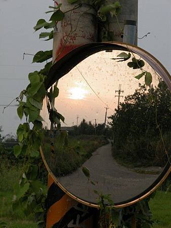 DSCN1594.JPG