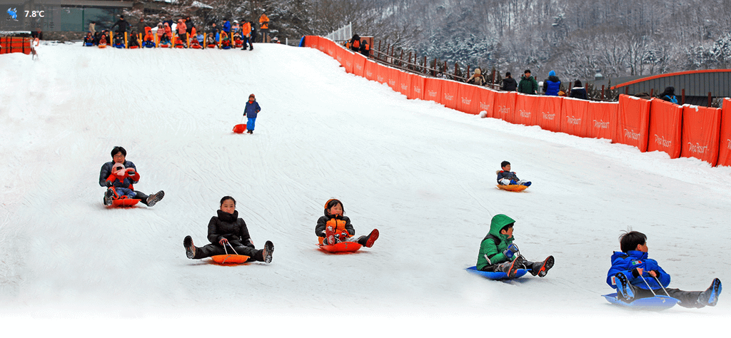 陽智滑雪場 양지파인리조트 스키장