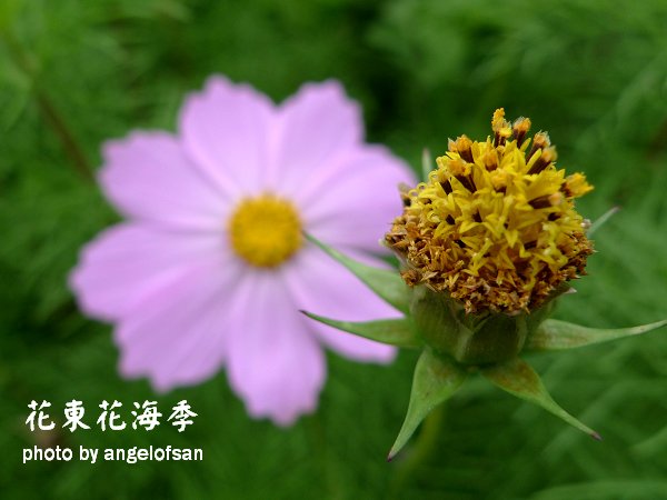 P1090466.JPG