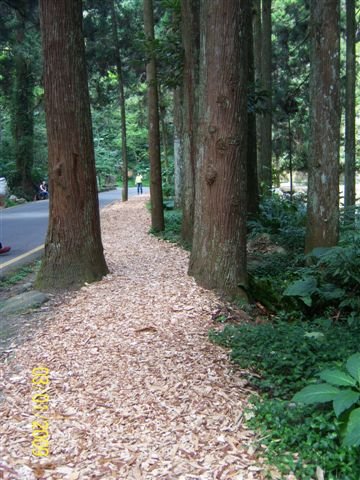 100_2910.JPG