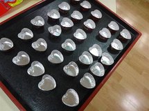 DSC04846 (中型).JPG