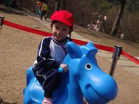 DSC05162 (中型).JPG