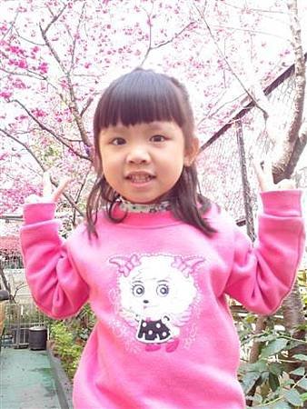 SAM_0883 (小型).JPG