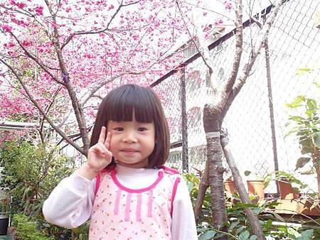 SAM_0892 (小型).JPG